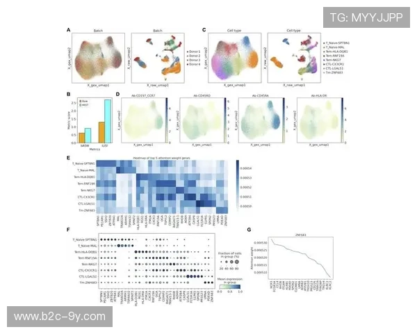 科技辅助训练成趋势,亚洲多队引入数据分析系统